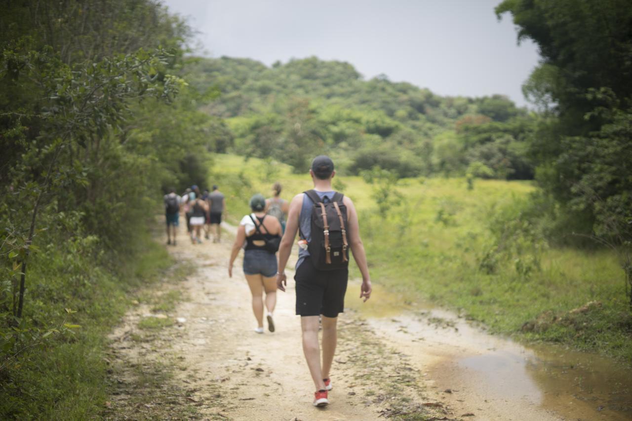 הוילה נגריל Zimbali Culinary Retreats מראה חיצוני תמונה